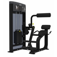AeroFit IF9332 Разгибание спины из каталога грузоблочных тренажеров в Краснодаре по цене 262740 ₽