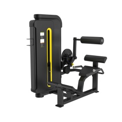 Svensson Industrial H3031 Matte Black Разгибание спины из каталога грузоблочных тренажеров в Краснодаре по цене 68000 ₽