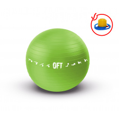 Original FitTools 65 см. с насосом зеленый FT-GBPRO-65GN из каталога фитболов  в Краснодаре по цене 1450 ₽