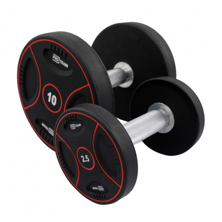 Рендер-1 для Protrain DB 3110 от 2,5 до 30 кг.