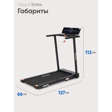 11 слайд галлереи