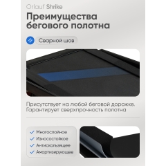 12 слайд галлереи