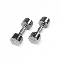 Bronze Gym 6 кг. BG-PA-DB-C06 из каталога хромированных гантелей в Краснодаре по цене 2390 ₽