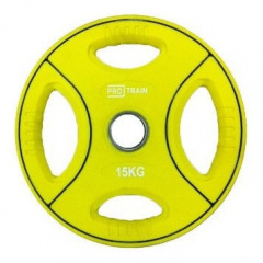 Protrain DB6092-15 (д=50 мм) из каталога дисков для штанги с посадочным диаметром 50 мм. в Краснодаре по цене 7980 ₽