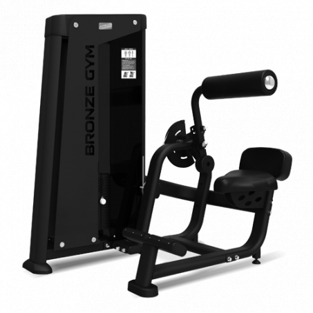 Рендер-0 для Bronze Gym NEO 31 Разгибание спины