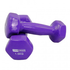 Protrain 1.5 кг. HC4005-1,5 из каталога виниловых гантелей в Краснодаре по цене 850 ₽