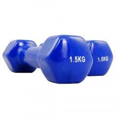 Protrain TA-2103-1,5 (пара) из каталога виниловых гантелей в Краснодаре по цене 1110 ₽