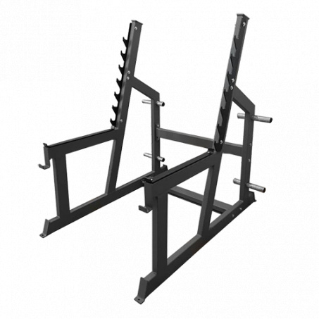 Рендер-0 для Bronze Gym AL-309