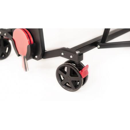Рендер-2 для Rasson Premium T01 Indoor’’ (274 х 152,5 х 76 см, черный ясень) с сеткой