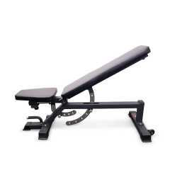 Protrain TC011 из каталога силовых скамей в Краснодаре по цене 57000 ₽