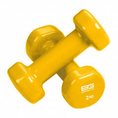 Bronze Gym виниловая 2 кг (пара) из каталога гантелей для фитнеса в Краснодаре по цене 1450 ₽