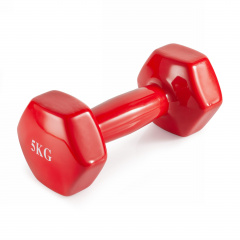 VictoryFit 5 кг. 1 шт. VF-DV050 из каталога виниловых гантелей в Краснодаре по цене 1450 ₽