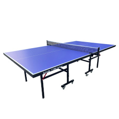 Теннисный стол для помещений Scholle TT450 Indoor в Краснодаре по цене 28490 ₽