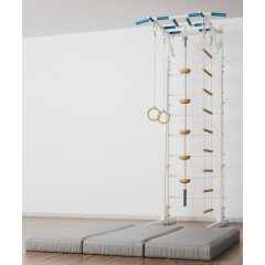 BarFits New Age RJ Premium line из каталога металлических шведских стенок в Краснодаре по цене 51900 ₽