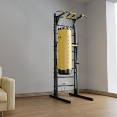 New Age GR2 Premium line в Краснодаре по цене 59690 ₽ в категории шведские стенки BarFits