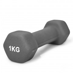 UnixFit 1 кг Grey DBNEO1GY из каталога неопреновых  гантелей в Краснодаре по цене 510 ₽