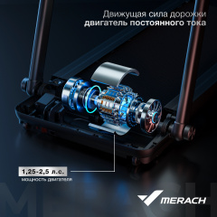 13 слайд галлереи