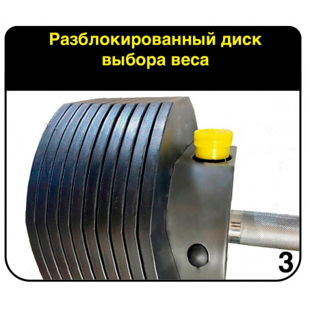 Рендер-8 для First Degree Fitness вес 3.4-13.9 кг со стойкой