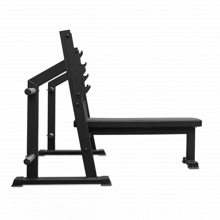 Рендер-9 для Bronze Gym Partner AL-304L со стойками