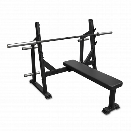 Рендер-4 для Bronze Gym Partner AL-304L со стойками