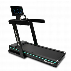 Bronze Gym Walkway из каталога беговых дорожек в Краснодаре по цене 179990 ₽