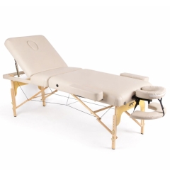 DFC PROFI3 TS312H складной из каталога массажных столов в Краснодаре по цене 33990 ₽