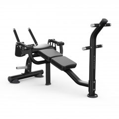 Matrix Magnum MG-PL50 - скамья для скручивания из каталога тренажеров на свободных весах в Краснодаре по цене 301750 ₽