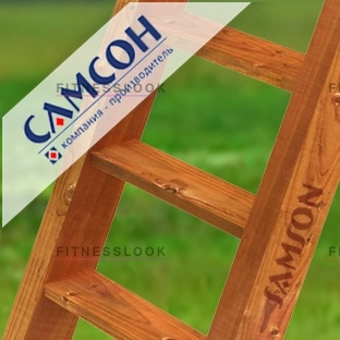Самсон Лестница деревянная из каталога аксессуаров к игровым комплексам в Краснодаре по цене 3400 ₽