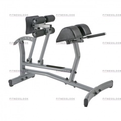 AeroFit Neo NRCH из каталога тренажеров римский стул в Краснодаре по цене 46150 ₽