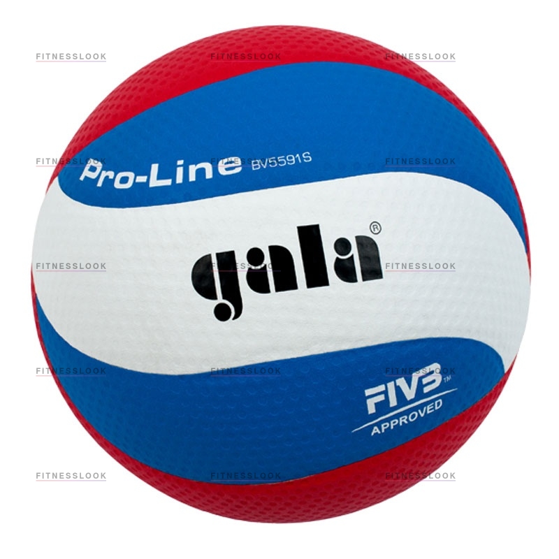 Gala Pro-line из каталога баскетбольных мячей в Краснодаре по цене 3030 ₽