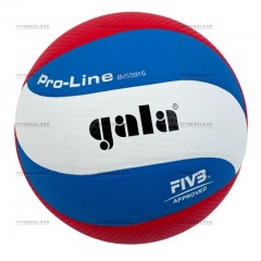 Gala Pro-line из каталога баскетбольных мячей в Краснодаре по цене 2640 ₽