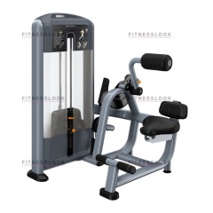 Precor DSL313 - разгибание спины из каталога грузоблочных тренажеров в Краснодаре по цене 523215 ₽