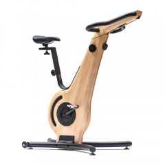 NOHrD Bike - ясень из каталога велотренажеров в Краснодаре по цене 459413 ₽