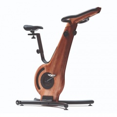 NOHrD Bike ясень окрашенный из каталога велотренажеров в Краснодаре по цене 493913 ₽